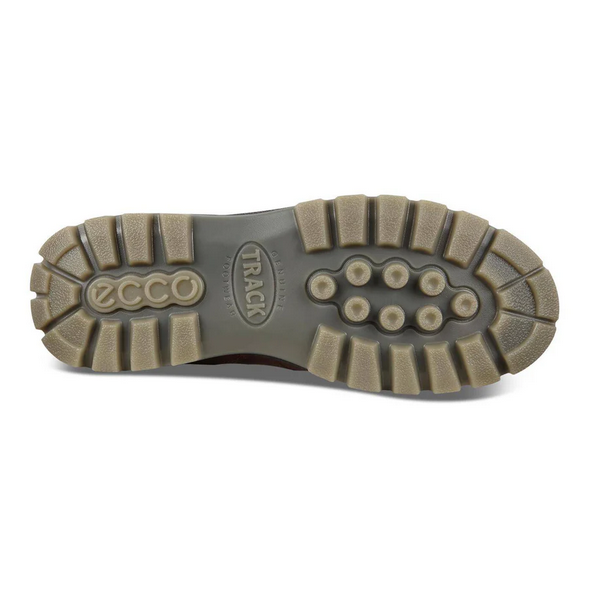 ECCO Men's Track 25 Low GORE-TEX Waterproof - Bison