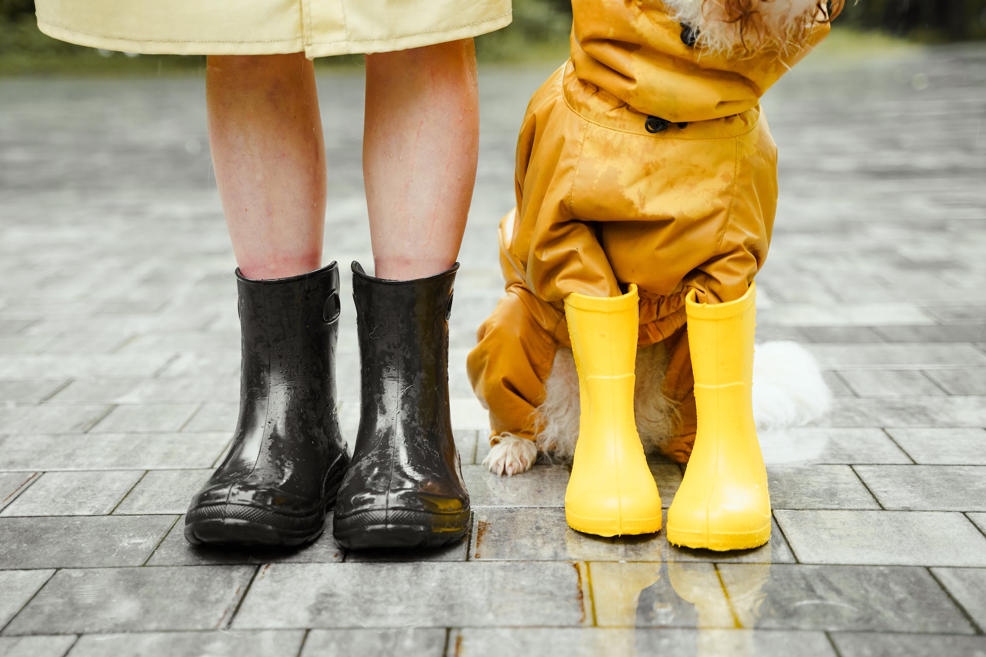 office rain boots