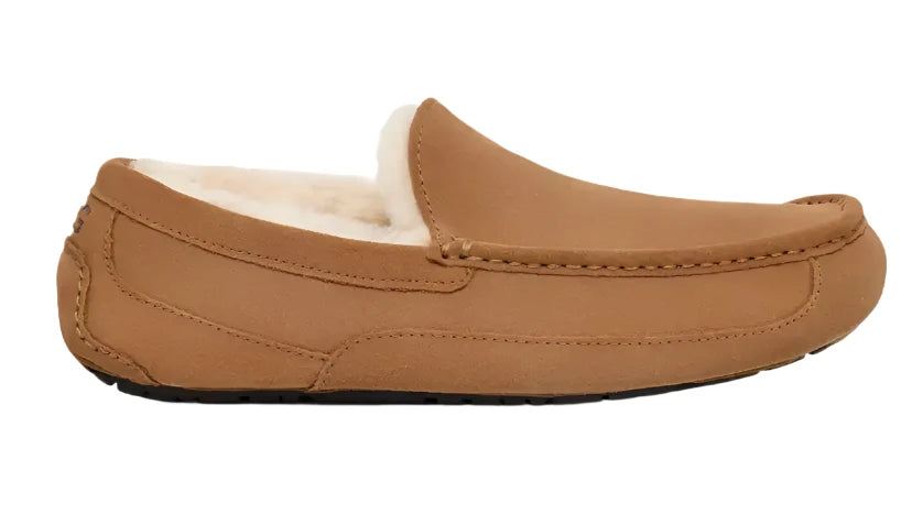 UGG® Men's Ascot Slipper - Chestnut