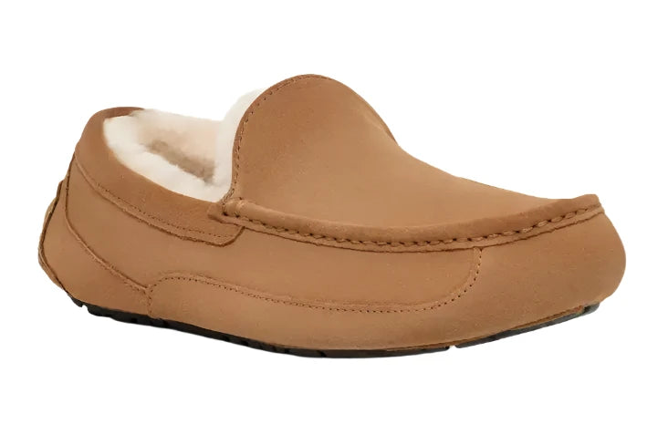 UGG® Men's Ascot Slipper - Chestnut