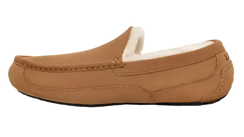 UGG® Men's Ascot Slipper - Chestnut