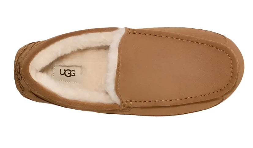 UGG® Men's Ascot Slipper - Chestnut