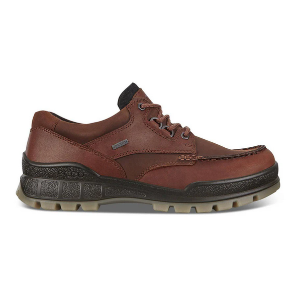 ECCO Men's Track 25 Low Gore-Tex Boot - Bison