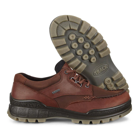 ECCO Men's Track 25 Low Gore-Tex Boot - Bison