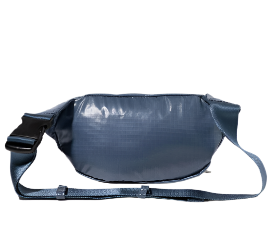 Baggallini Women's On The Go Belt Bag - Mist Gloss Ripstop