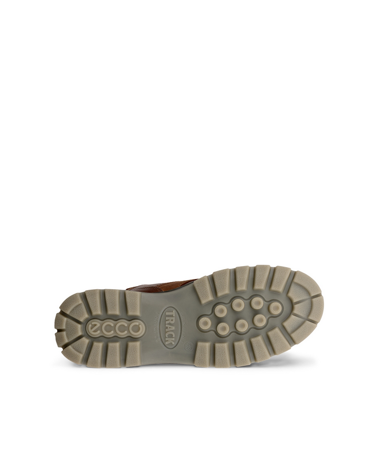 Ecco Men's Track 25 GoreTex Mid Boot - Bison