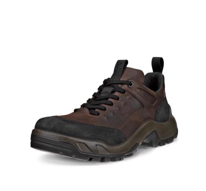 ECCO Men's Offroad Waterproof V2 Boot (PFAS Free) - Mocha