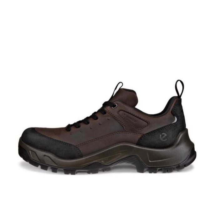 ECCO Men's Offroad Waterproof V2 Boot (PFAS Free) - Mocha