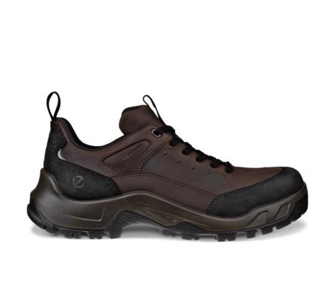 ECCO Men's Offroad Waterproof V2 Boot (PFAS Free) - Mocha