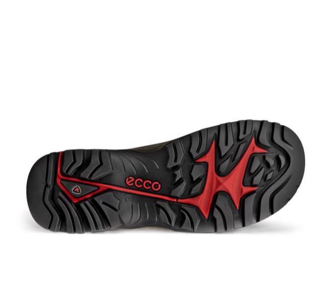 ECCO Men's Offroad Waterproof V2 Boot (PFAS Free) - Mocha