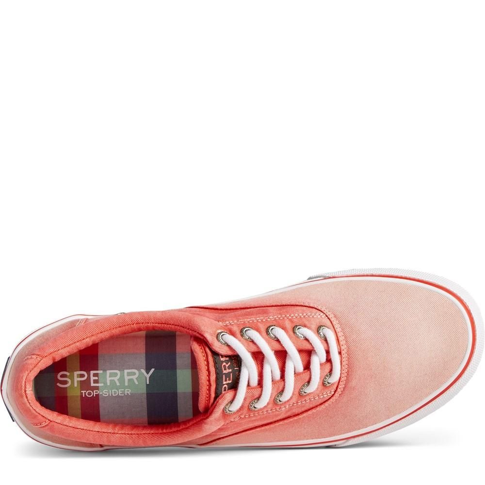 Sperry Men's Striper II CVO Sneaker - Ombre Red